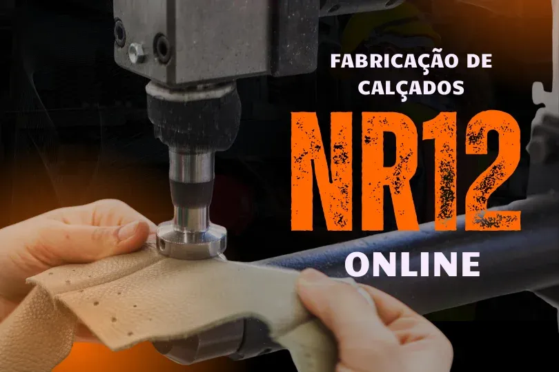 CURSO NR 12 ONLINE -  SEGURAN�A NO TRABALHO EM M�QUINAS PARA FABRICA��O DE CAL�ADOS E AFINS