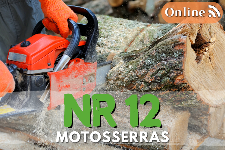 CURSO NR 12 ONLINE SEGURANÇA NO TRABALHO COM MOTOSSERRAS 8H