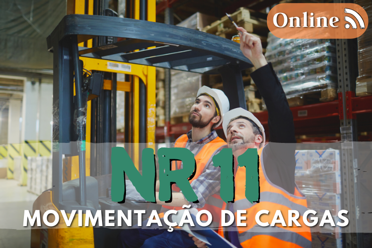 CURSO NR11  ONLINE - MOVIMENTAÇÃO DE CARGAS 