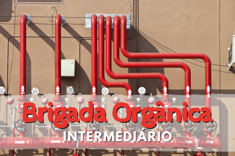 CURSO ONLINE DE BRIGADA ORGNICA INTERMEDIRIO